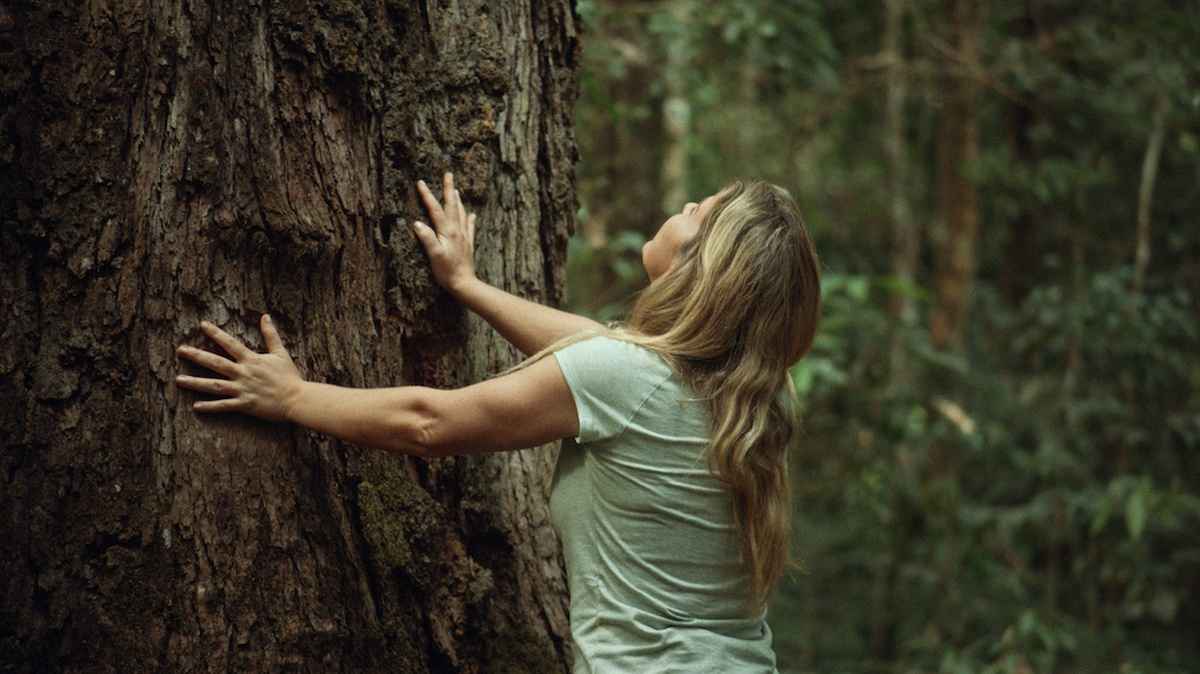 Portada de Vale lanza “Protectores del bosque”, una serie sobre el viaje de la empresa en el Amazonas, transmitida por Discovery Brasil