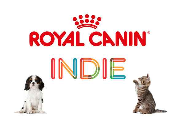 Portada de Indie suma a Royal Canin como nuevo cliente