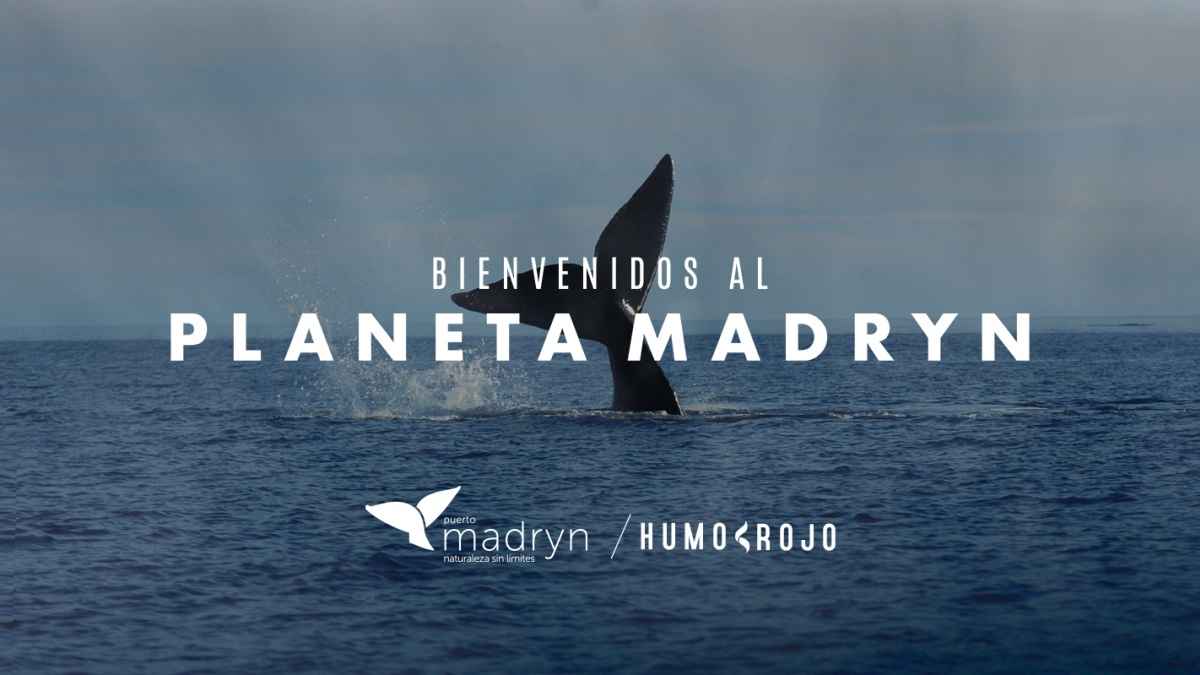 Portada de “Planeta Madryn”, nueva campaña de Humo Rojo para Puerto Madryn