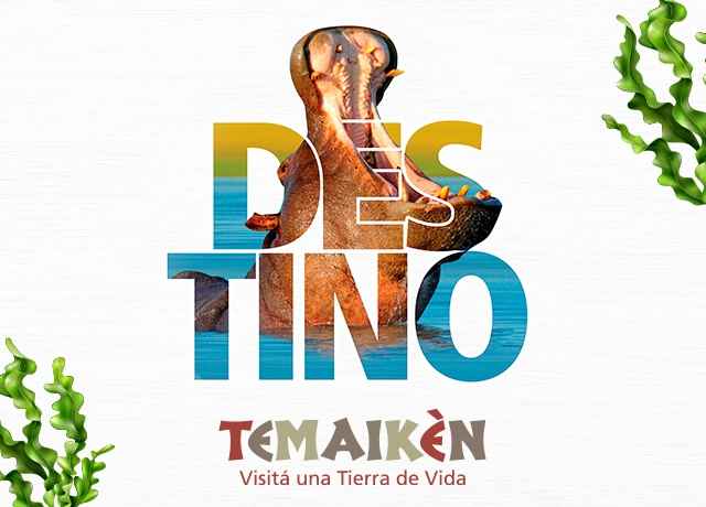 Portada de “Destino Temaikèn”, la campaña de Rapp que convierte a Temaikèn en un nuevo destino turístico del verano