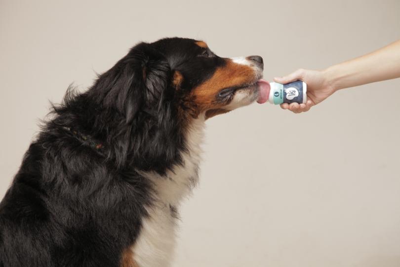 Portada de Pet Drink y +Castro crearon Liq, un snack líquido saludable para perros y gatos