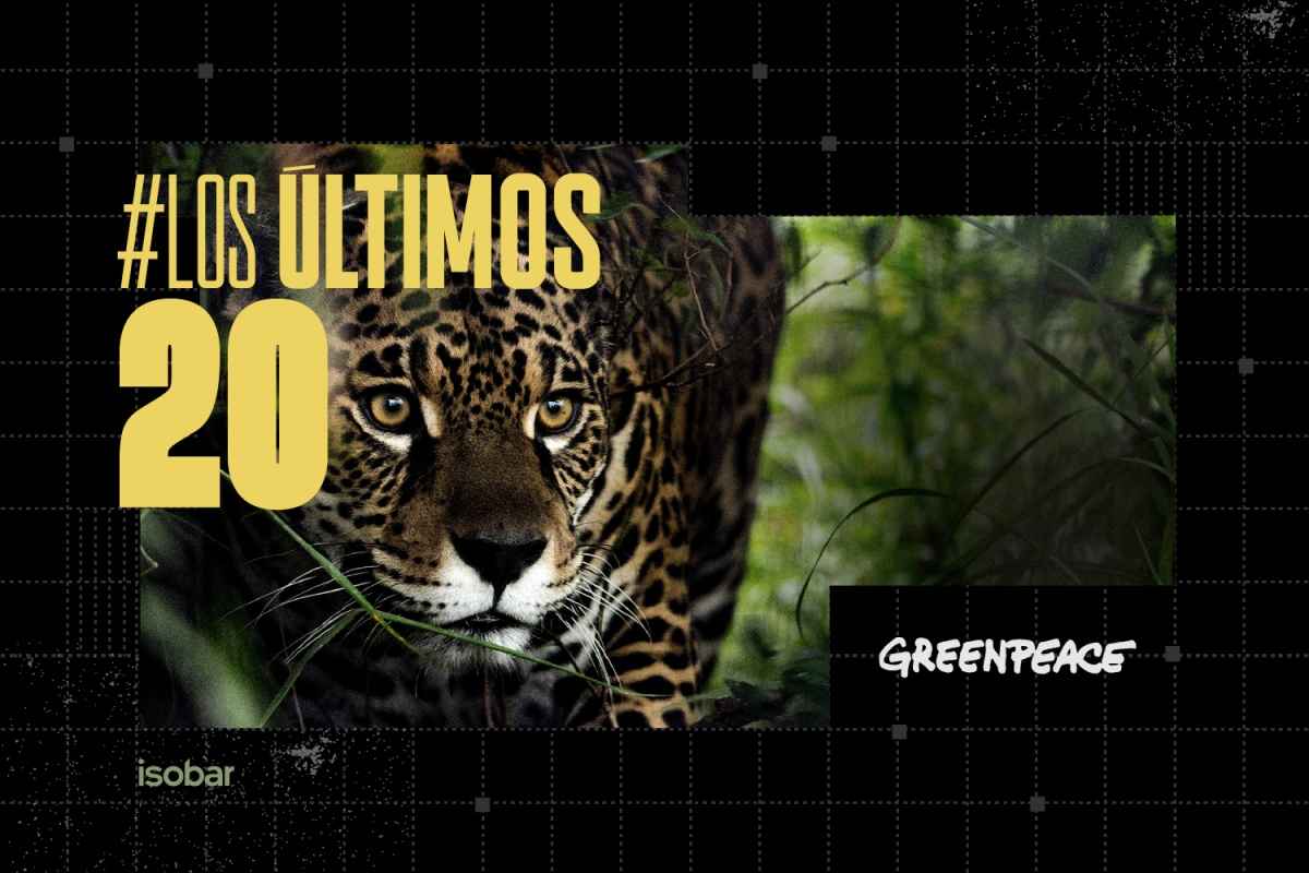 Portada de “Los últimos 20”, nueva campaña de Isobar para Greenpeace